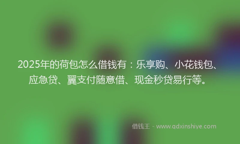2025年的荷包怎么借钱有：乐享购、小花钱包、应急贷、翼支付随意借、现金秒贷易行等。