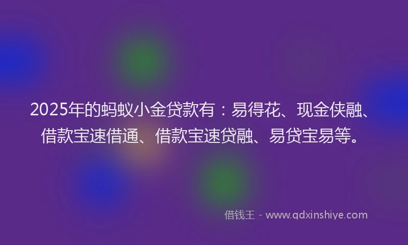 2025年的蚂蚁小金贷款有：易得花、现金侠融、借款宝速借通、借款宝速贷融、易贷宝易等。