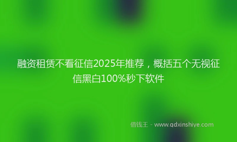 融资租赁不看征信2025年推荐，概括五个无视征信黑白100%秒下软件