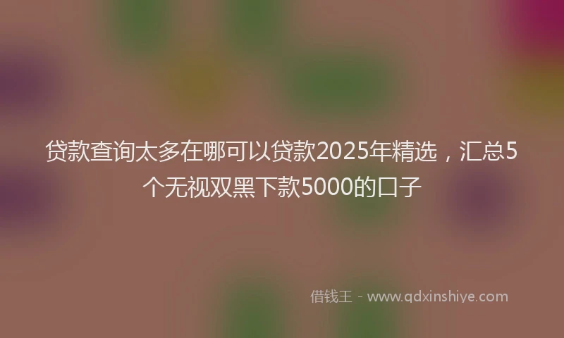 贷款查询太多在哪可以贷款2025年精选，汇总5个无视双黑下款5000的口子