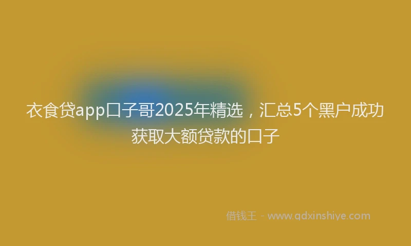 衣食贷app口子哥2025年精选，汇总5个黑户成功获取大额贷款的口子