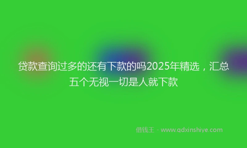 贷款查询过多的还有下款的吗2025年精选，汇总五个无视一切是人就下款