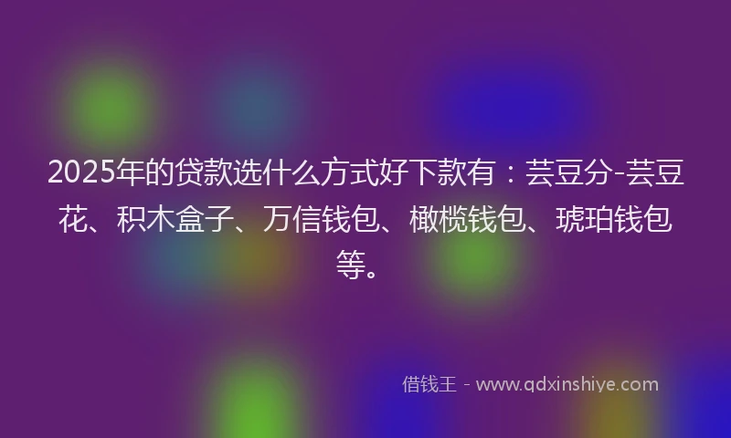 2025年的贷款选什么方式好下款有：芸豆分-芸豆花、积木盒子、万信钱包、橄榄钱包、琥珀钱包等。
