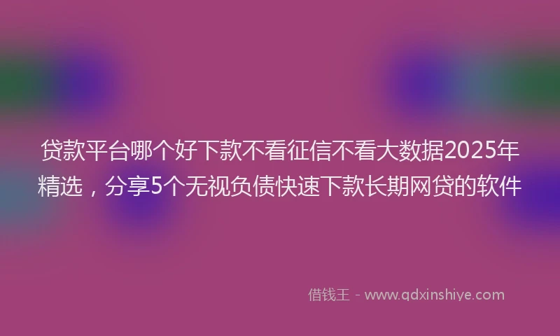 贷款平台哪个好下款不看征信不看大数据2025年精选，分享5个无视负债快速下款长期网贷的软件