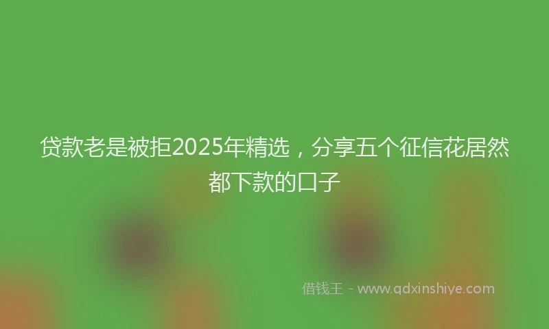 贷款老是被拒2025年精选，分享五个征信花居然都下款的口子