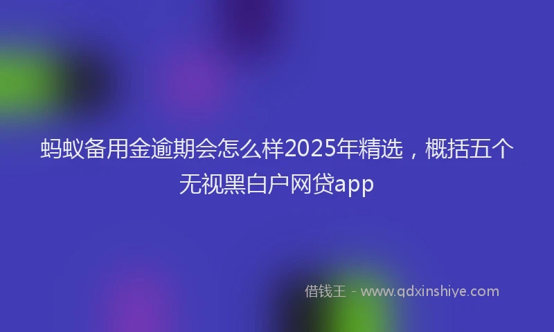 蚂蚁备用金逾期会怎么样2025年精选，概括五个无视黑白户网贷app
