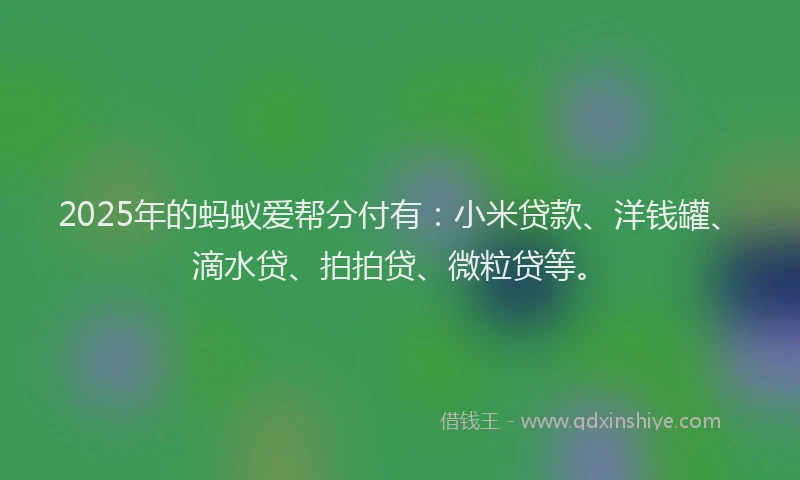 2025年的蚂蚁爱帮分付有：小米贷款、洋钱罐、滴水贷、拍拍贷、微粒贷等。