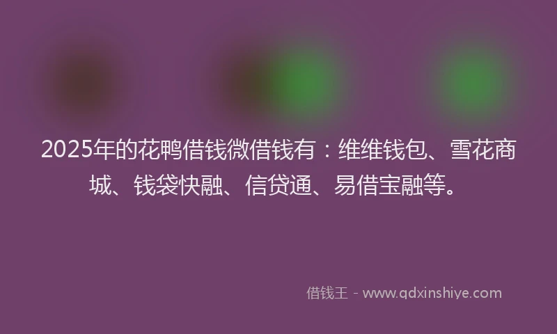 2025年的花鸭借钱微借钱有：维维钱包、雪花商城、钱袋快融、信贷通、易借宝融等。