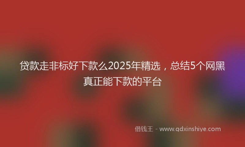 贷款走非标好下款么2025年精选，总结5个网黑真正能下款的平台