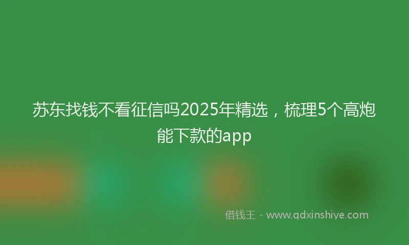苏东找钱不看征信吗2025年精选，梳理5个高炮能下款的app