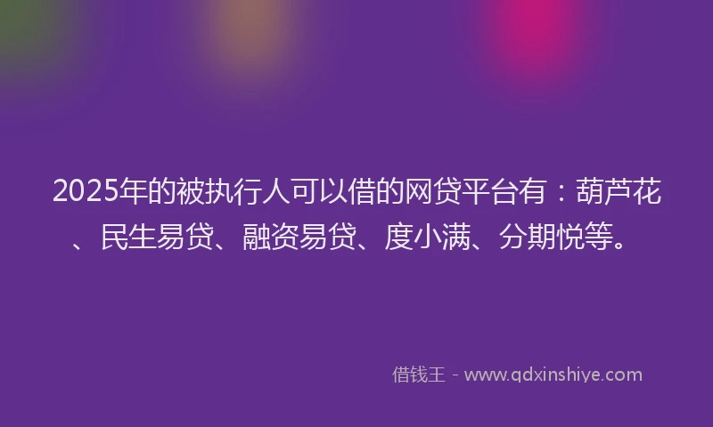 2025年的被执行人可以借的网贷平台有：葫芦花、民生易贷、融资易贷、度小满、分期悦等。