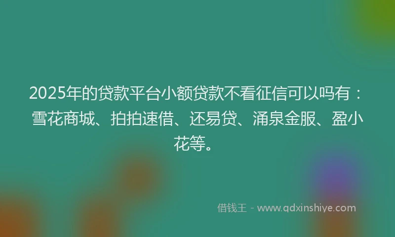 2025年的贷款平台小额贷款不看征信可以吗有：雪花商城、拍拍速借、还易贷、涌泉金服、盈小花等。