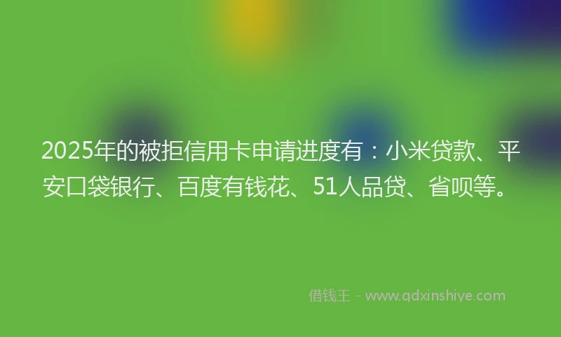 2025年的被拒信用卡申请进度有：小米贷款、平安口袋银行、百度有钱花、51人品贷、省呗等。