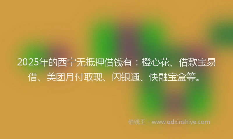 2025年的西宁无抵押借钱有：橙心花、借款宝易借、美团月付取现、闪银通、快融宝盒等。