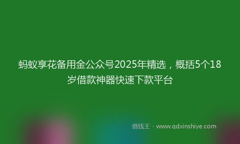 蚂蚁享花备用金公众号2025年精选，概括5个18岁借款神器快速下款平台