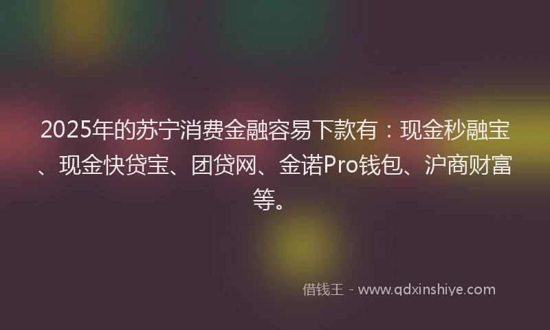 2025年的苏宁消费金融容易下款有：现金秒融宝、现金快贷宝、团贷网、金诺Pro钱包、沪商财富等。