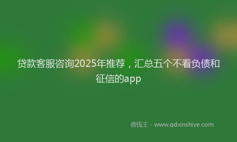 贷款客服咨询2025年推荐，汇总五个不看负债和征信的app