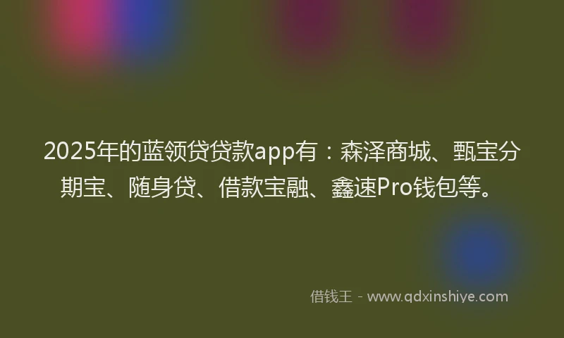 2025年的蓝领贷贷款app有：森泽商城、甄宝分期宝、随身贷、借款宝融、鑫速Pro钱包等。