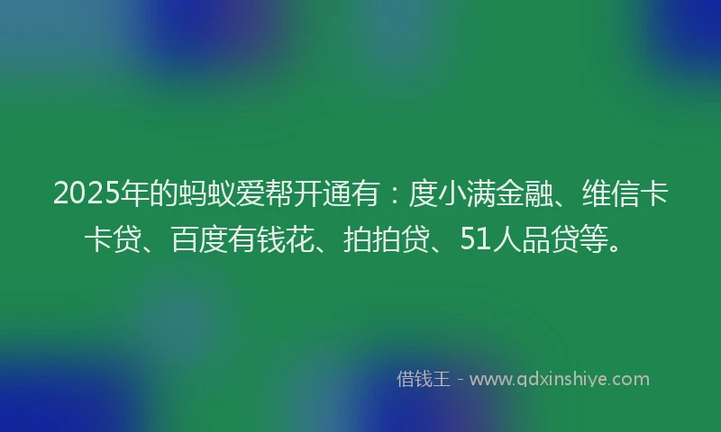 2025年的蚂蚁爱帮开通有：度小满金融、维信卡卡贷、百度有钱花、拍拍贷、51人品贷等。