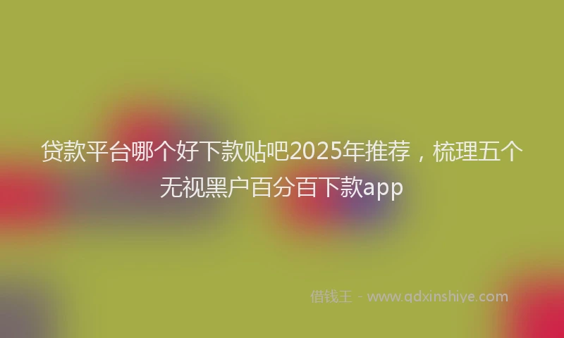 贷款平台哪个好下款贴吧2025年推荐，梳理五个无视黑户百分百下款app