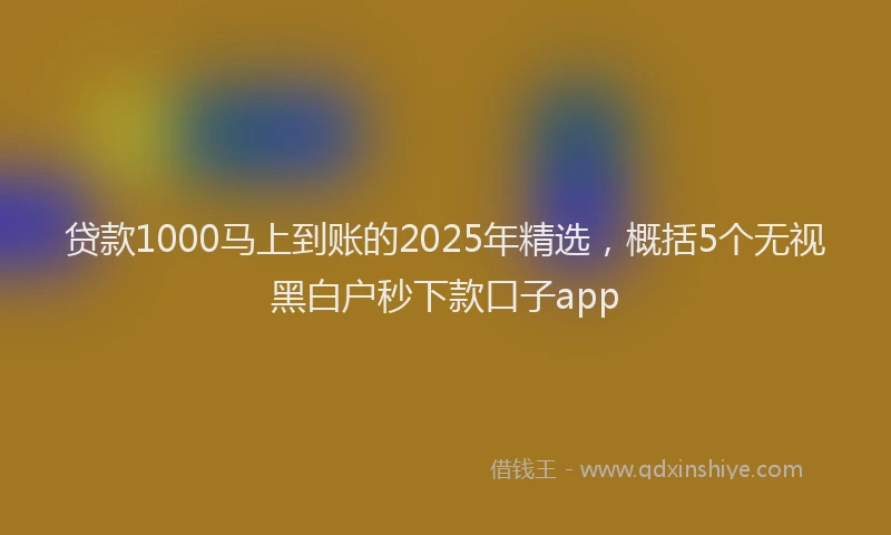 贷款1000马上到账的2025年精选，概括5个无视黑白户秒下款口子app