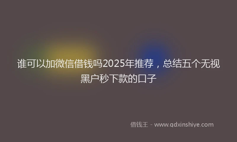 谁可以加微信借钱吗2025年推荐，总结五个无视黑户秒下款的口子