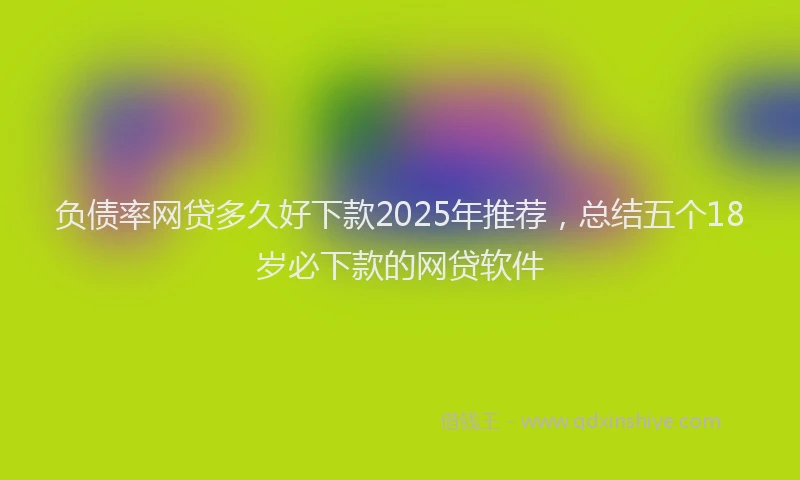 负债率网贷多久好下款2025年推荐，总结五个18岁必下款的网贷软件
