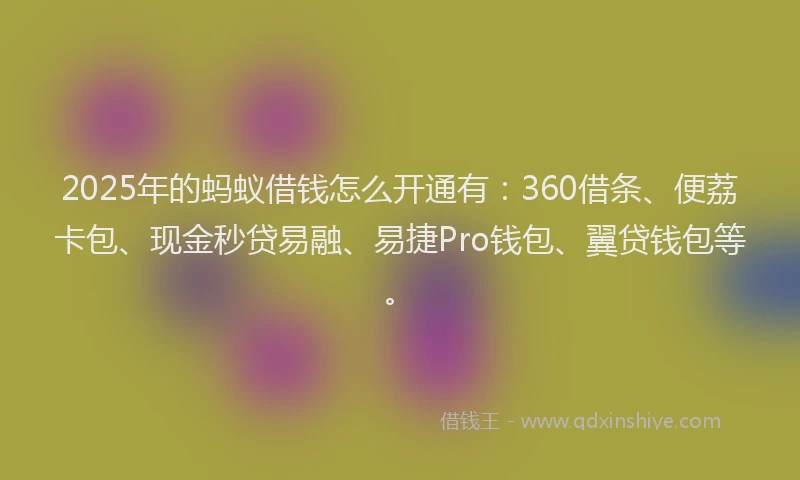 2025年的蚂蚁借钱怎么开通有：360借条、便荔卡包、现金秒贷易融、易捷Pro钱包、翼贷钱包等。