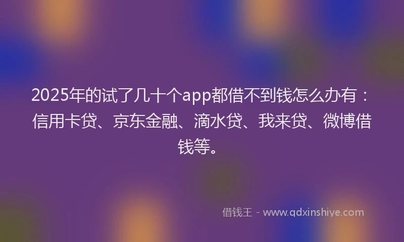 2025年的试了几十个app都借不到钱怎么办有：信用卡贷、京东金融、滴水贷、我来贷、微博借钱等。