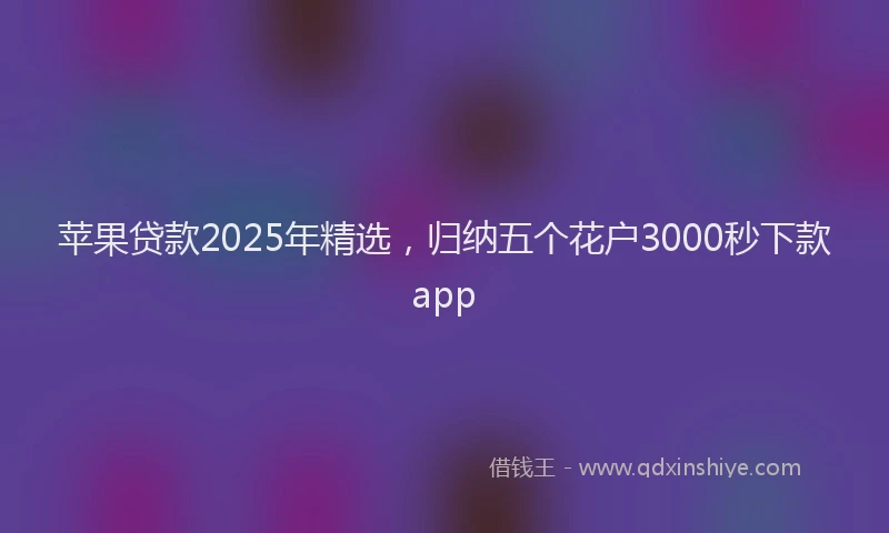 苹果贷款2025年精选，归纳五个花户3000秒下款app