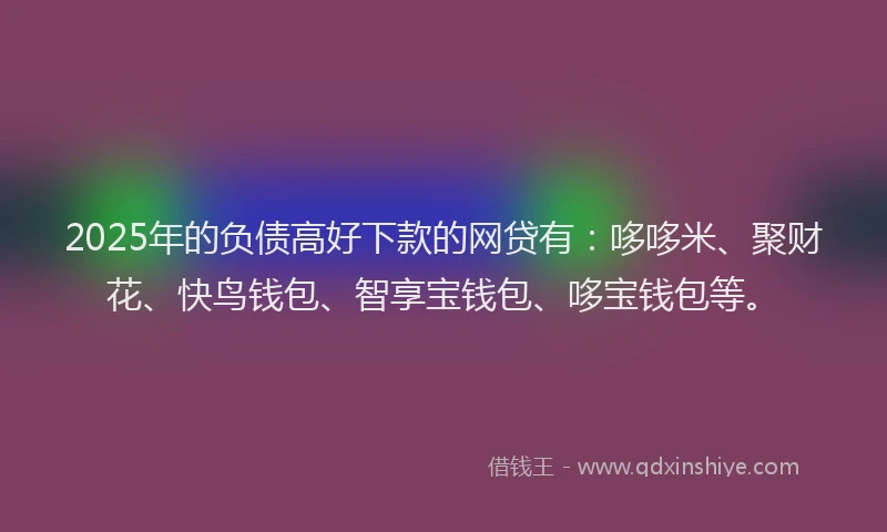 2025年的负债高好下款的网贷有：哆哆米、聚财花、快鸟钱包、智享宝钱包、哆宝钱包等。