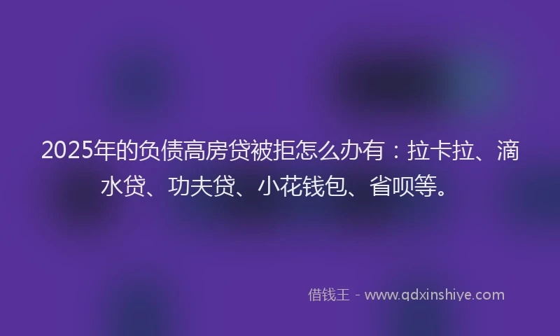 2025年的负债高房贷被拒怎么办有：拉卡拉、滴水贷、功夫贷、小花钱包、省呗等。