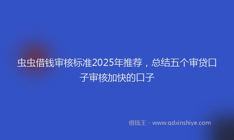 虫虫借钱审核标准2025年推荐，总结五个审贷口子审核加快的口子