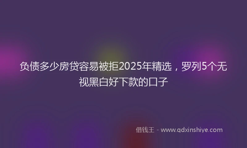负债多少房贷容易被拒2025年精选，罗列5个无视黑白好下款的口子