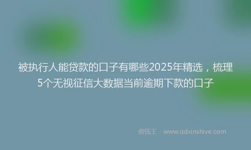 被执行人能贷款的口子有哪些2025年精选，梳理5个无视征信大数据当前逾期下款的口子