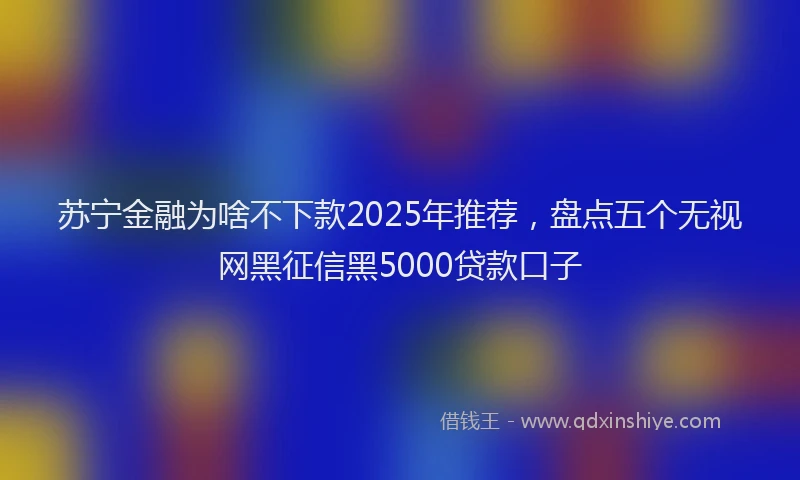 苏宁金融为啥不下款2025年推荐，盘点五个无视网黑征信黑5000贷款口子