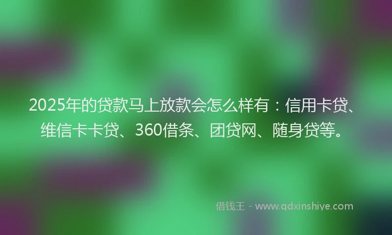 2025年的贷款马上放款会怎么样有：信用卡贷、维信卡卡贷、360借条、团贷网、随身贷等。