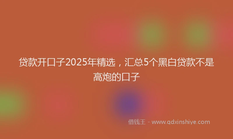贷款开口子2025年精选，汇总5个黑白贷款不是高炮的口子