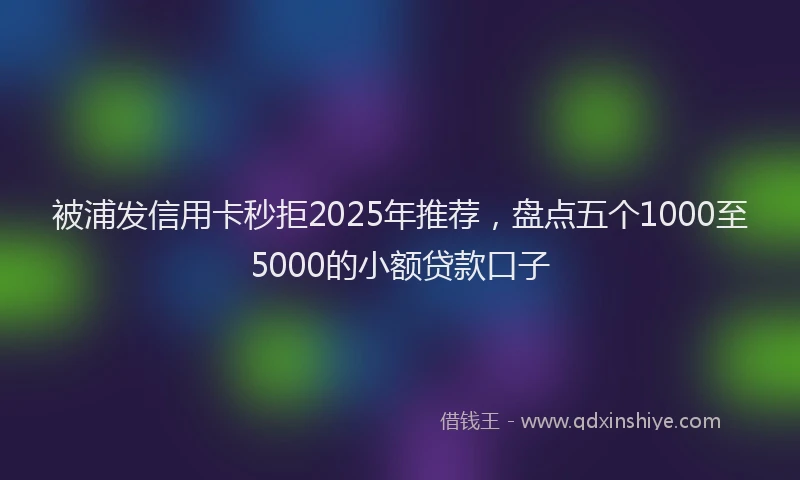 被浦发信用卡秒拒2025年推荐，盘点五个1000至5000的小额贷款口子