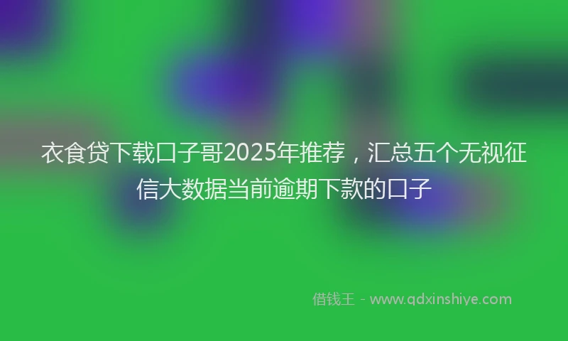 衣食贷下载口子哥2025年推荐，汇总五个无视征信大数据当前逾期下款的口子