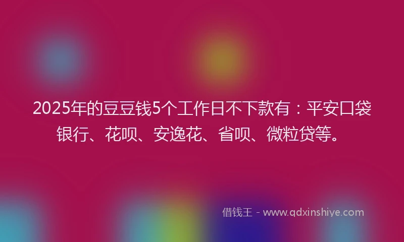 2025年的豆豆钱5个工作日不下款有：平安口袋银行、花呗、安逸花、省呗、微粒贷等。