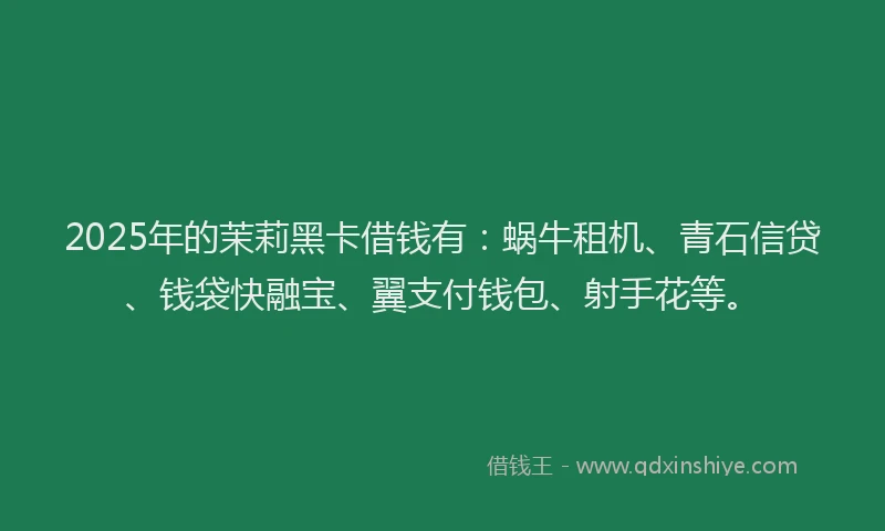 2025年的茉莉黑卡借钱有：蜗牛租机、青石信贷、钱袋快融宝、翼支付钱包、射手花等。