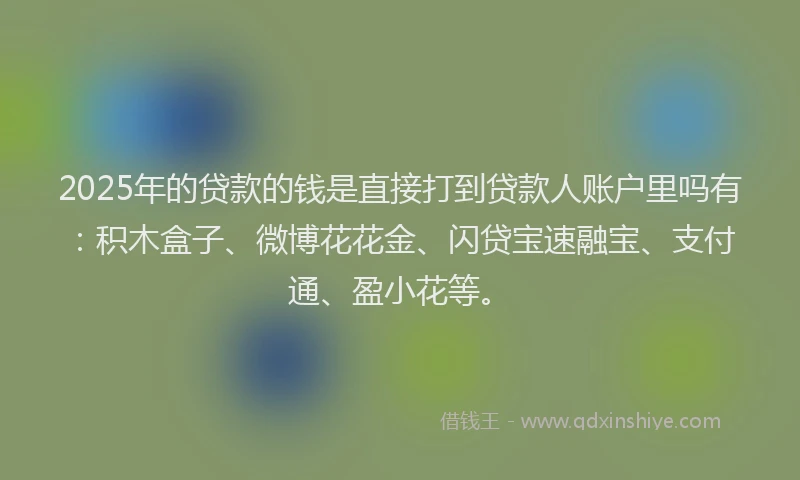 2025年的贷款的钱是直接打到贷款人账户里吗有：积木盒子、微博花花金、闪贷宝速融宝、支付通、盈小花等。