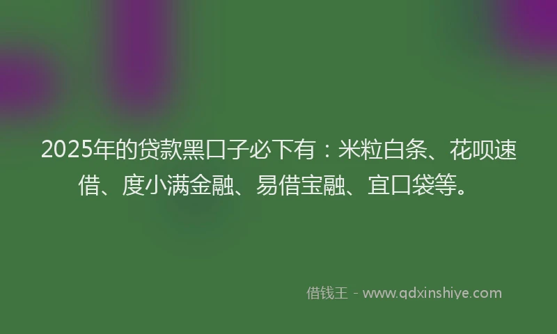 2025年的贷款黑口子必下有：米粒白条、花呗速借、度小满金融、易借宝融、宜口袋等。