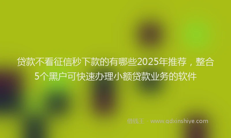 贷款不看征信秒下款的有哪些2025年推荐，整合5个黑户可快速办理小额贷款业务的软件