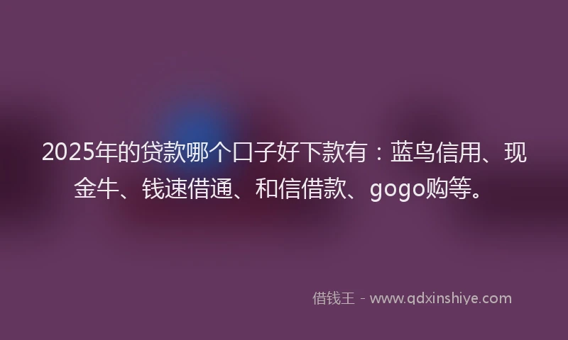 2025年的贷款哪个口子好下款有：蓝鸟信用、现金牛、钱速借通、和信借款、gogo购等。