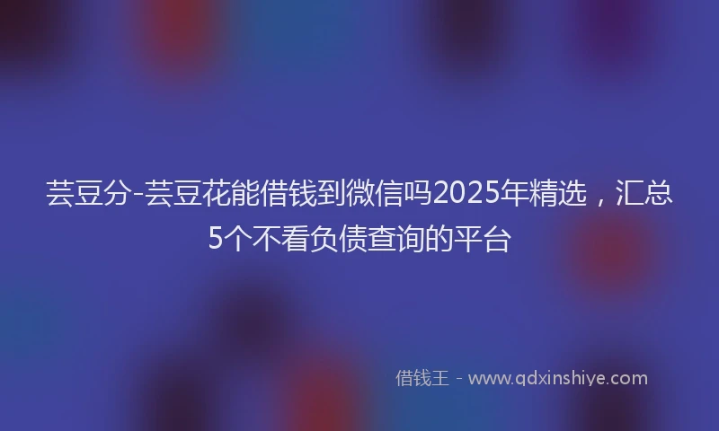 芸豆分-芸豆花能借钱到微信吗2025年精选，汇总5个不看负债查询的平台