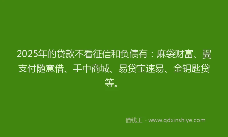 2025年的贷款不看征信和负债有：麻袋财富、翼支付随意借、手中商城、易贷宝速易、金钥匙贷等。