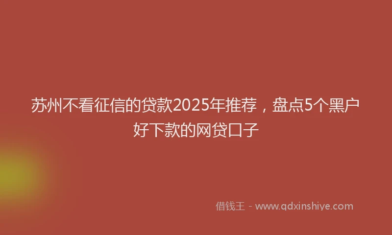 苏州不看征信的贷款2025年推荐，盘点5个黑户好下款的网贷口子