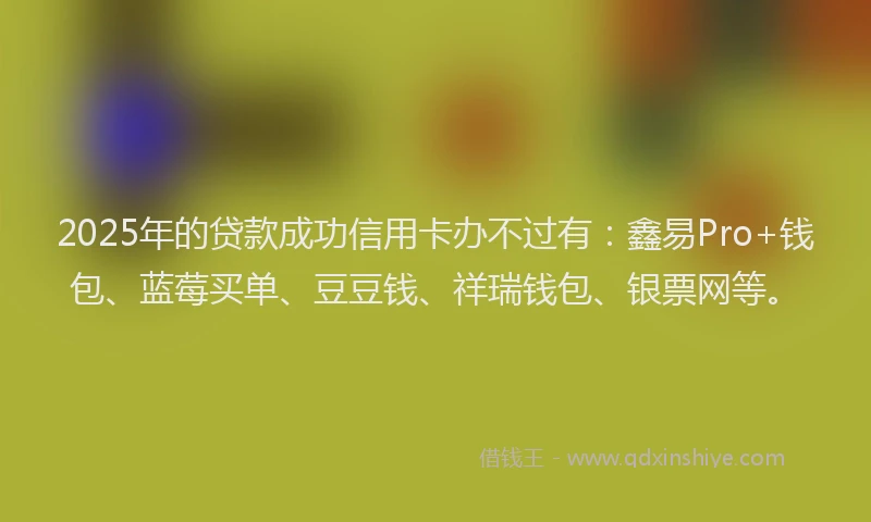2025年的贷款成功信用卡办不过有：鑫易Pro+钱包、蓝莓买单、豆豆钱、祥瑞钱包、银票网等。